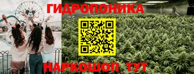 spice Тавда