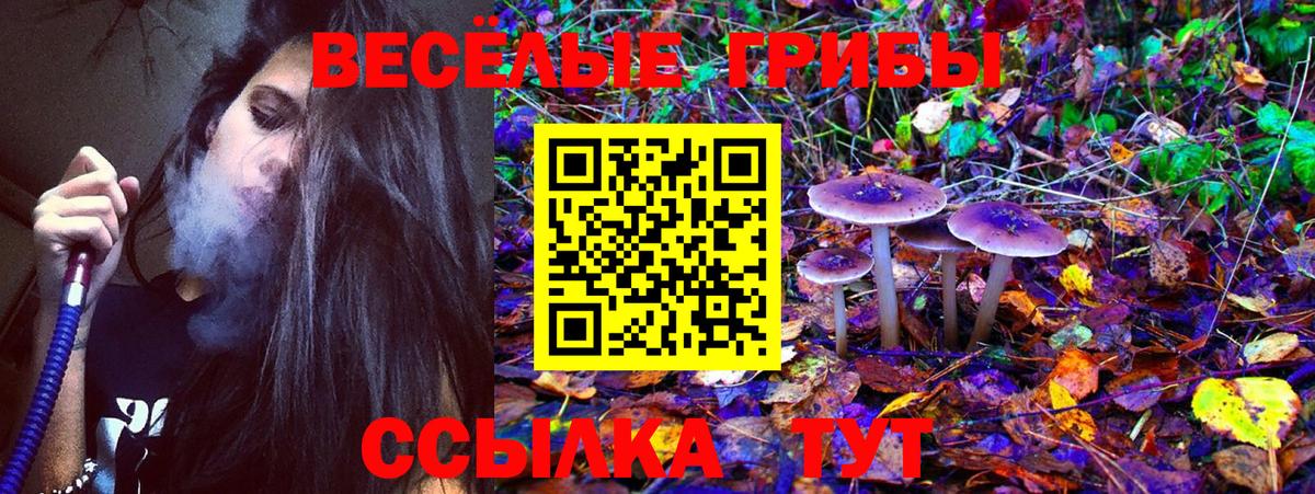 Псилоцибиновые грибы GOLDEN TEACHER  Вход с VPN  Калининград  Галлюциногенные грибы Psilocybe 